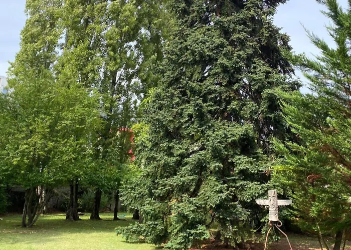 Alojamento de Acomodação e Pequeno-almoço Saint Georges